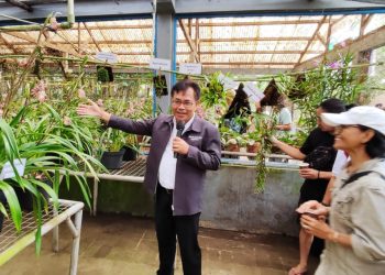 Peserta Festival Anggrek Mengikuti Agro Tour ke Kebun Benih Holtikultura