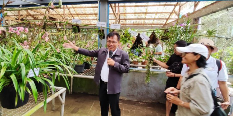 Peserta Festival Anggrek Mengikuti Agro Tour ke Kebun Benih Holtikultura