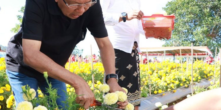 GM Bali Gemitir Group Menilai Gemitir Sudamala Sudah Memenuhi Syarat Untuk Dipasarkan