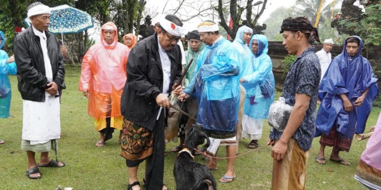 Wagub Cok Ace Hadiri Mapepada Wewalungan Jelang Puncak Karya Pujawali Pura Mandara Giri Semeru Agung