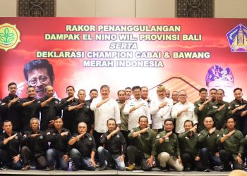 Melalui Rakor Dampak El Nino di Bali, Wagub Cok Ace Harap Pasokan Barang Tetap Rata dan Kontinyu