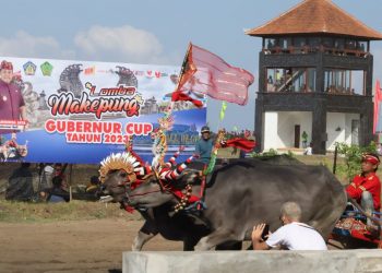 Pj. Gubernur Bali Dorong Makepung Dikembangkan dan Dikemas Sebagai Daya Tarik Wisata Budaya