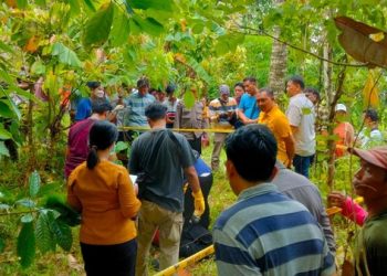 Kelian Adat Ditemukan Tewas di Kebun dengan Ditemukan Racun Serangga dan Surat Wasiat