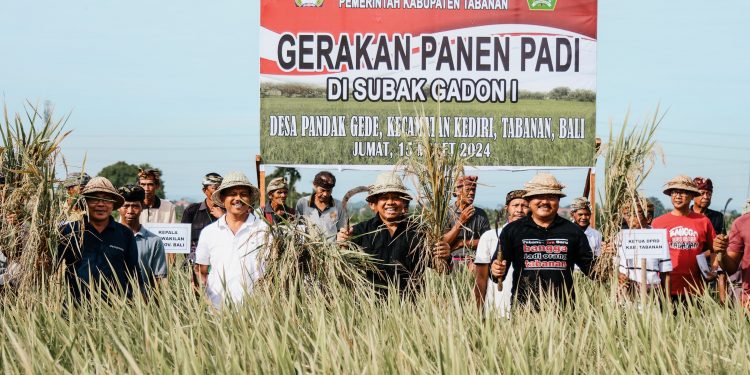 Dukung Penurunan Stunting, Pj. Gubernur Mahendra Jaya Dorong Penanaman Padi Inpari Nutri Zinc