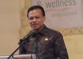 Sambut Baik Gagasan Menko Marves, Bali Dukung Pelaksanaan Konser Artis Internasional di Indonesia