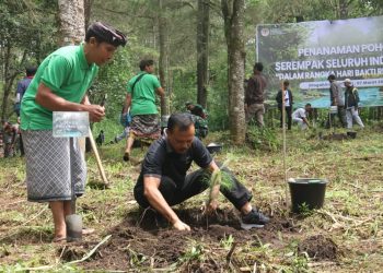 Sekda Dewa Indra Perhutanan Sosial Konsep Bagus, Menjaga Kelestarian Hutan, Mensejahterakan Masyarakat