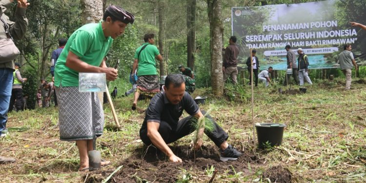 Sekda Dewa Indra Perhutanan Sosial Konsep Bagus, Menjaga Kelestarian Hutan, Mensejahterakan Masyarakat