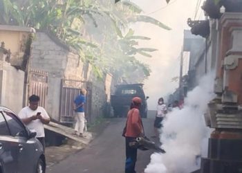 Penyebaran Demam Berdarah Semakin Merajalela di Gianyar