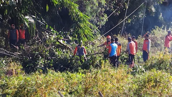 Sejumlah Pohon Tumbang di Klungkung Akibat Hujan Angin Sepanjang Hari