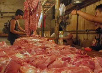 Harga Daging Babi Naik Menjelang Galungan, Pasokan Berkurang Akibat ASF