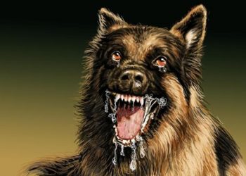 Dinkes Bali Klaim Stok Vaksin Antirabies Aman hingga Akhir 2025