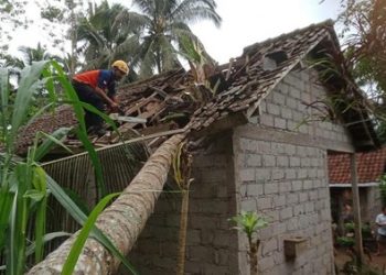 BPBD Laporkan Puluhan Pohon Tumbang dan Longsor di Karangasem