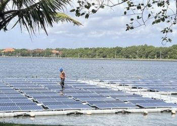 Melihat Perkembangan Terbaru PLTS Terapung di Tahura Ngurah Rai