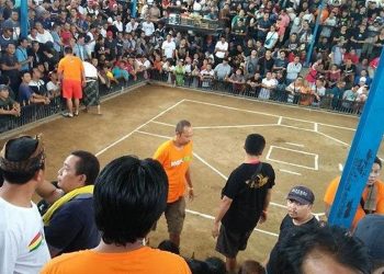 Ketua Komisi II DPRD Bali Mengusulkan Legalisasi Tajen untuk Potensi Pariwisata