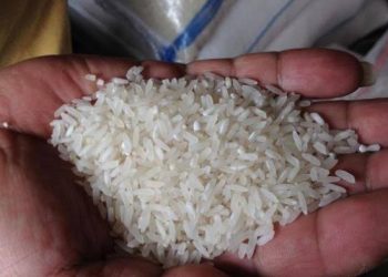 Polisi Selidiki Peredaran Beras Oplosan di Bali, Lakukan Inspeksi di Tiga Titik