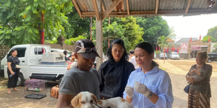 Sebanyak 57.350 Hewan Penular Rabies di Denpasar Telah Divaksinasi