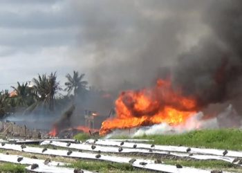 Korsleting Listrik Diduga Sebabkan Kebakaran Besar di Tabanan, 16 Vila Ludes Terbakar