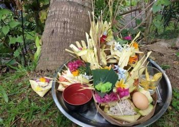 Melalui Tumpek Wariga, Bali Rayakan Keharmonisan antara Alam dan Manusia