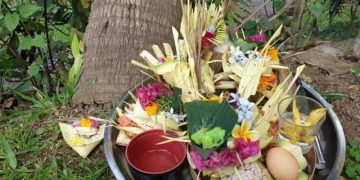 Melalui Tumpek Wariga, Bali Rayakan Keharmonisan antara Alam dan Manusia