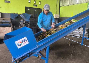 Dorong Ekonomi Hijau, BRI Salurkan Bantuan ke TPS3R Pudak Mesari