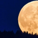 Fenomena Supermoon Terbesar 2025 Siap Hiasi Langit pada 7 Oktober