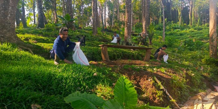 Klarifikasi KPH Bali Utara Soal Dugaan Pembabatan Hutan di Ambengan, Bukan Aktivitas Ilegal