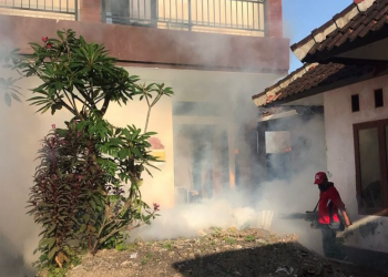 Tekan Lonjakan DBD, Denpasar Lakukan Fogging ULV Serentak di Seluruh Wilayah