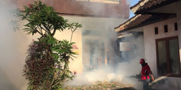 Tekan Lonjakan DBD, Denpasar Lakukan Fogging ULV Serentak di Seluruh Wilayah
