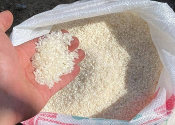 Kejaksaan Negeri Tabanan Terima Pengembalian Dana Korupsi Beras Senilai Rp1,49 Miliar