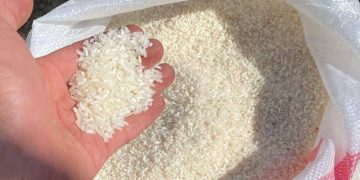 Kejaksaan Negeri Tabanan Terima Pengembalian Dana Korupsi Beras Senilai Rp1,49 Miliar