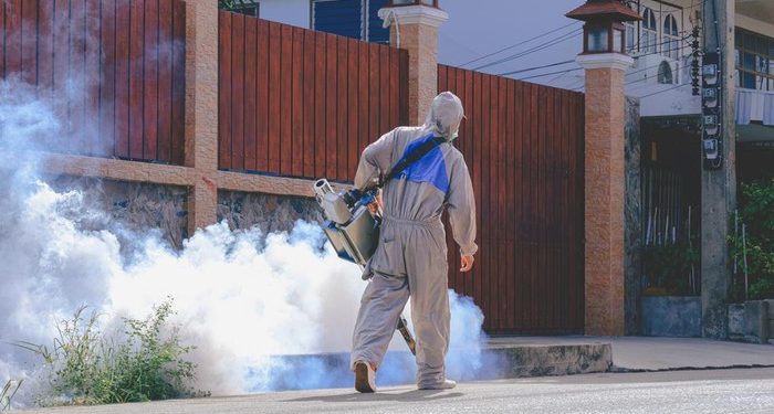 Sejak Awal 2025, DBD di Bali Telan 14 Korban Jiwa dari 9.700 Kasus