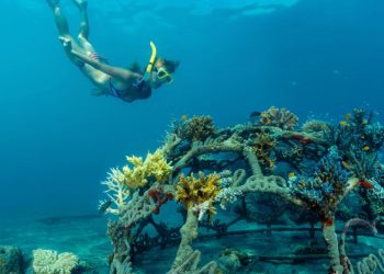 Desa Pemuteran Bali, Pesona Desa Wisata Terbaik Dunia 2025