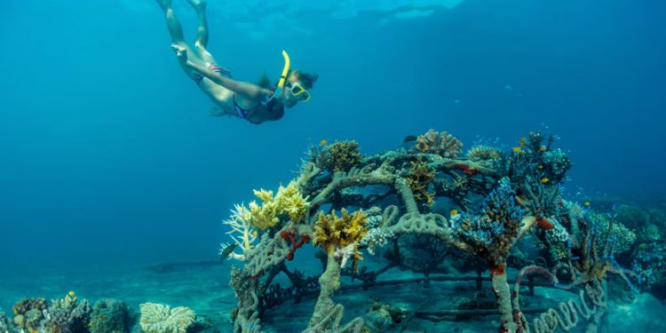 Desa Pemuteran Bali, Pesona Desa Wisata Terbaik Dunia 2025