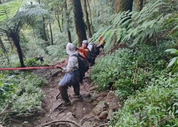 Lima Remaja Dievakuasi Setelah Kelelahan Mendaki Gunung Batukaru