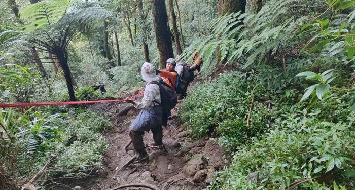 Lima Remaja Dievakuasi Setelah Kelelahan Mendaki Gunung Batukaru